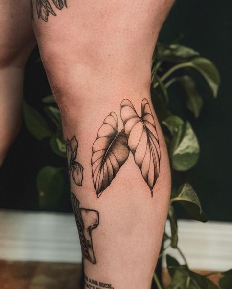 Aroid Plant Tattoo, Alocasia Plant Drawing, Alocasia Plant Tattoo, Alocasia Drawing, Alocasia Tattoo, Filler Tattoos, Botanical Tattoos, Alocasia Plant, Tattoo Filler