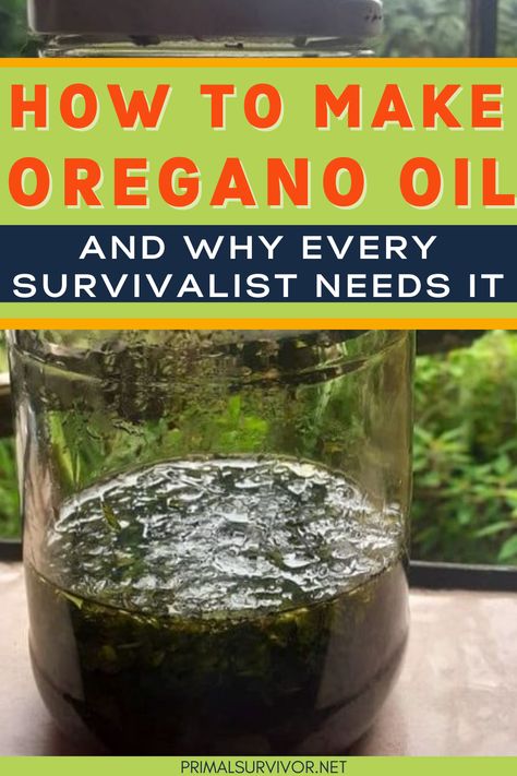 oregano oil in a jar Oil Of Oregano For Colds, Oregano Oil For Sore Throat, Oregano Oil Prepare, Oregano Oil Recipes, Diy Oregano Oil, Oregano Oil Uses, Make Oregano Oil, Drawing Salve Recipe, Herb Medicine