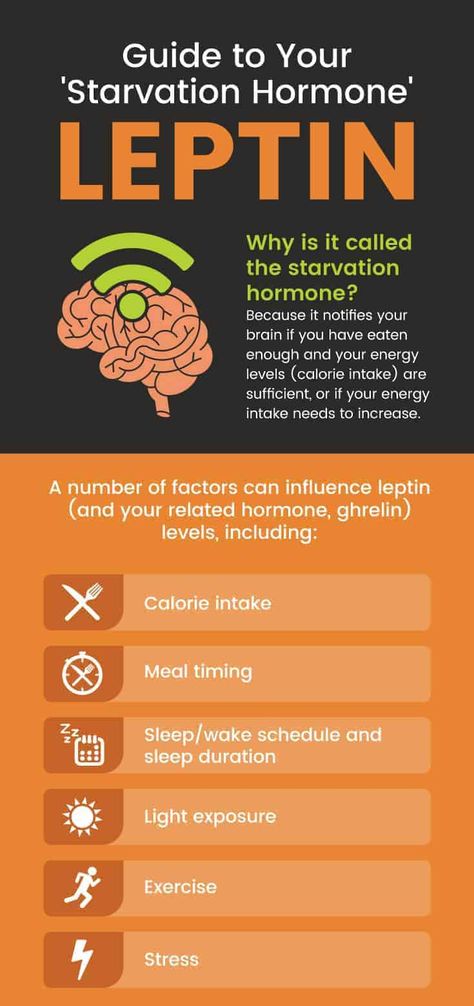 Leptin Resistance Diet, Leptin Diet, Leptin And Ghrelin, Hormone Diet, Hormonal Weight Gain, Weight Gain Supplements, Leptin Resistance, Balance Hormones Naturally, How To Regulate Hormones