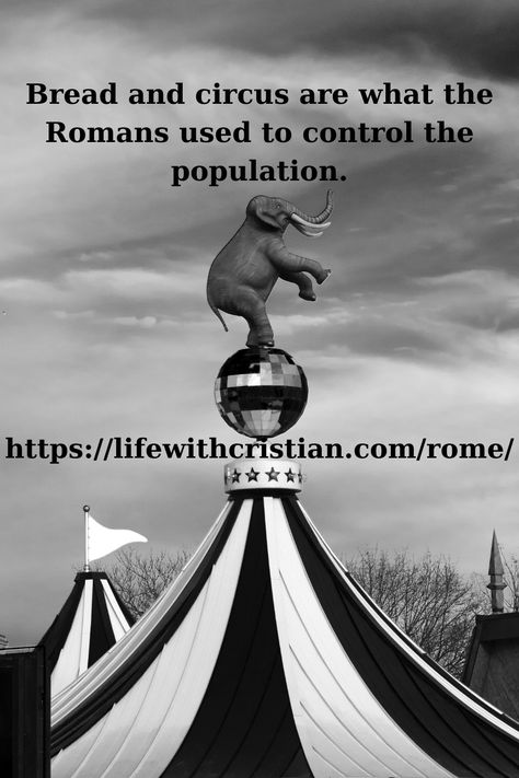 Bread and circus are what the Romans used to control the population. That means most of us shut up and take whatever comes our way if we are fed and entertained. Wow. That is painful just to read. Bread and circus. Is that the price of your existence? No? Prove it! Soul Bread, The Romans, Prove It, Shut Up, Your Soul, Self Improvement, Circus, Helpful Hints, Rome