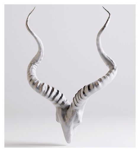 Unleash your wild side with our 3D Antelope Skull Model! Perfect for print & digital use, this high-detail piece is a game-changer for unique decor and DIY projects. Whether you're crafting, decorating, or just having fun, this quirky skull brings a dash of wild elegance to any space! 🦌✨ #DIYFunCrafted with precision and accuracy, our model offers a stunningly realistic representation, ideal for 3D printing, visual presentations, or inclusion in virtual environments. Explore the intricate detai Unique Decor Diy, Antelope Skull, Skull Model, Virtual Environment, 3d Modelle, 3d Artist, Game Changer, Unique Decor, 3d Printer