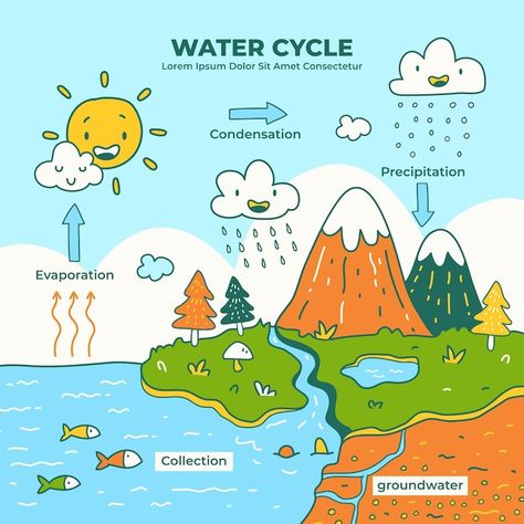 Hand drawn water cycle | Premium Vector #Freepik #vector #evaporation #water-cycle #rain-cloud #illustrations Hydrological Cycle Drawing, Water Cycle Diagram Drawing, Water Cycle Diagram Science, Water Cycle Poster Ideas, Watercycle Kids Drawing, Water Cycle Poster Project For Kids, Importance Of Water For Kids, Evaporation Drawing, Hydrosphere Drawing