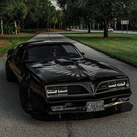 Campus Drivers, Rad Racer, Old Muscle Cars, Pontiac Trans Am, Pontiac Firebird Trans Am, Firebird Trans Am, Dream Vehicles, Custom Muscle Cars, Bikes And Cars