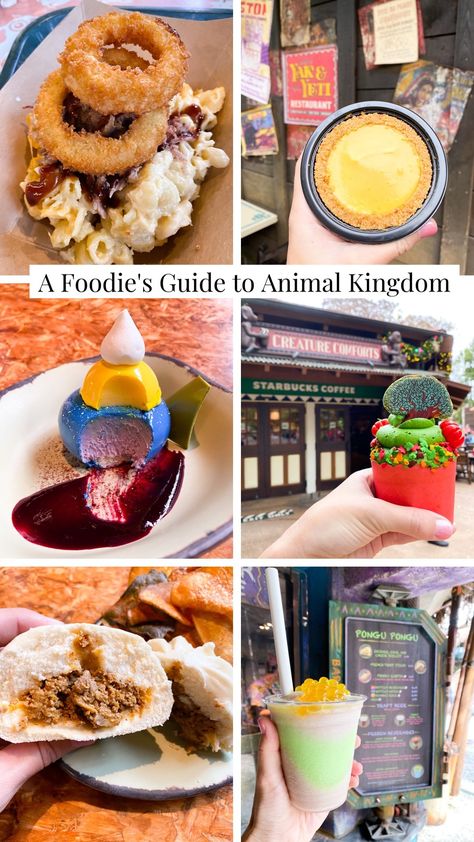 Disney Animal Kingdom Birthday Party, Food At Animal Kingdom, Animal Kingdom Snacks, Animal Kingdom Restaurants, Animal Kingdom Food, World Of Pandora, Mango Pie, Guava Paste, Disney 2023