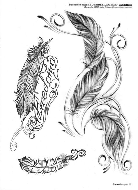 Feather With Birds Tattoo, Tattoos On Side Ribs, Skull Rose Tattoos, Vogel Tattoo, Rose Drawing Tattoo, Tattoo Coloring Book, Paradise Tattoo, Tattoo Dotwork, Clock Tattoo Design