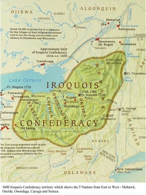 1600 Iroquois Confederacy. Iroquois Confederacy, History University, Woodland Indians, University Of San Diego, Eastern Woodlands, American Indian History, Into The West, Native American Peoples, Indian History