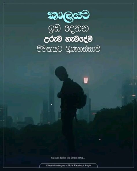 Motivation Sinhala, Sinhala Wadan, Motivational Quotes For Success, Nature Pictures, Success Quotes, Motivational Quotes, Life Quotes, Quotes, Quick Saves