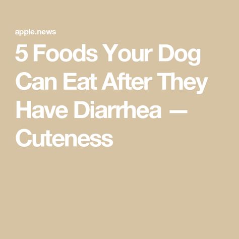 5 Foods Your Dog Can Eat After They Have Diarrhea — Cuteness Dog Pictures, A Dog, Dog Food Recipes, Puppies, Canning, Dogs, Dog Food