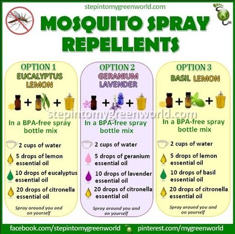 mosquito spray repellents | Eco Life | Scoop.it Natural Mosquito Spray, Mosquito Spray, Natural Mosquito Repellant, Insect Spray, Oil Remedies, Living Essentials Oils, Bug Repellent, Living Essentials, Young Living Oils