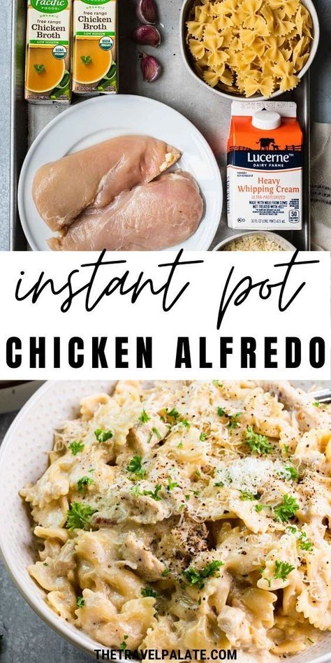 Instant Pot Chicken Alfredo, Pasta And Chicken, Recipes Instapot, Instant Pot Pasta Recipe, Sauce Pasta, Best Instant Pot Recipe, Instant Pot Recipes Chicken, Chicken Pasta Recipes, Easy Instant Pot Recipes