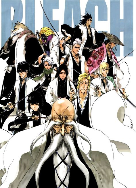 Bleach Captains, Gotei 13, Hd Gif, Ichigo Manga, Kuchiki Byakuya, Fanart Wallpaper, Byakuya Kuchiki, Anime Bleach, Bleach Characters