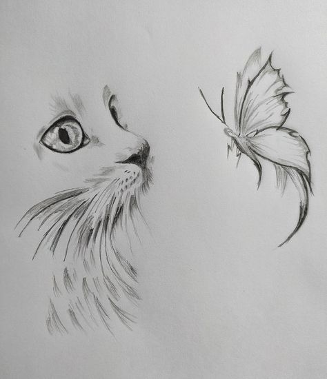 Cat eyes looking at a butterfly Cat With Butterfly On Nose Drawing, Cat With Butterfly On Nose Tattoo, Cat Eye Tattoo, Cat Eye Tattoos, Nose Tattoo, Cat Nose, Cat Tattoos, Nose Drawing, Kitty Stuff