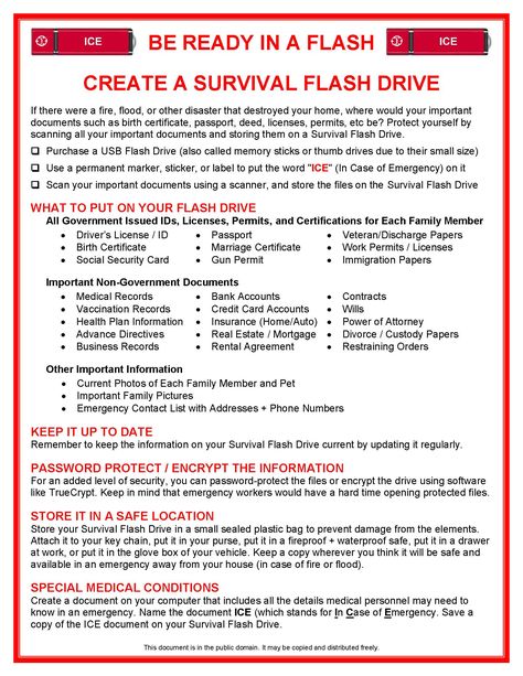 BeReadyInAFlash-Survival Flash Drive Emergency Preparedness Binder, Family Emergency Binder, Survival Skills Emergency Preparedness, Estate Planning Checklist, Emergency Binder, Emergency Prepardness, Emergency Preparedness Kit, Life Binder, Family Emergency