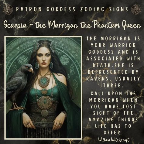 Scorpio - The Morrigan, The Phantom Queen Willow Witchcraft The Morrigan, Pisces Girl, Zodiac Elements, Green Witchcraft, Scorpio Zodiac Facts, Celtic Goddess, Magic Spell Book, Learn Astrology, Astrology Facts