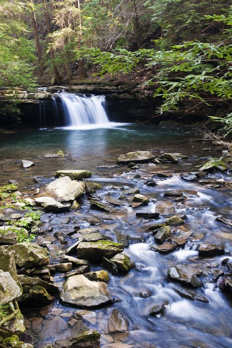 South Cumberland State Park Cummins Falls State Park Tennessee, Clifty Falls State Park Indiana, Wekiwa Springs State Park, Sweetwater Creek State Park, Ha Ha Tonka, Chimney Rock State Park, Grayson Highlands, Amicalola Falls, Cloudland Canyon