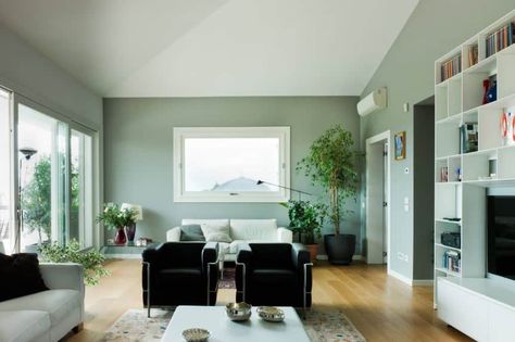 The lightness of this living room is due to the light green walls paired with a white shed ceiling, wide glass window and glass sliding doors that illuminate the hardwood flooring. Living Room With Light Green Walls, Light Green Feature Wall, Pale Green Living Room Walls, Light Green Living Room Decor, Pale Green Walls Living Room, Light Green Wall Color Living Room, Light Green Walls Living Room Decor, Green Living Room Paint Color Ideas, Light Green Wall Living Room