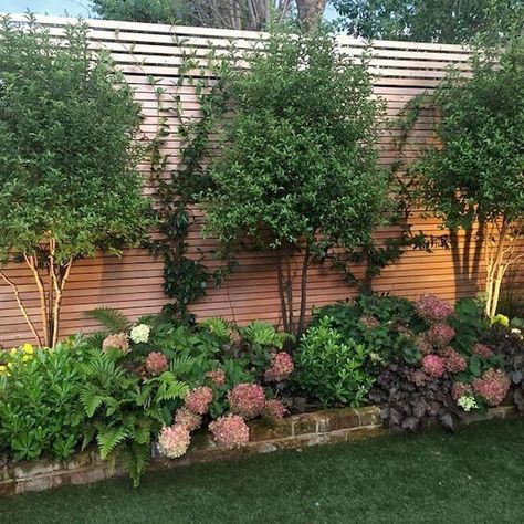 Privacy Landscaping, French Country Garden, Backyard Privacy, Garden Shrubs, Have Inspiration, Creative Gardening, Landscaping Tips, Beautiful Backyards, Plants And Flowers