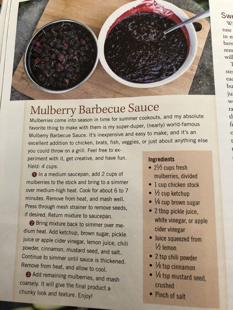 Mulberry Bbq Sauce, Mulberry Canning Recipes, Mulberries Recipes, Mulberry Jam Recipe, Summer Foraging, Mulberry Benefits, Mulberry Jam, Mulberry Recipes, Mulberry Trees