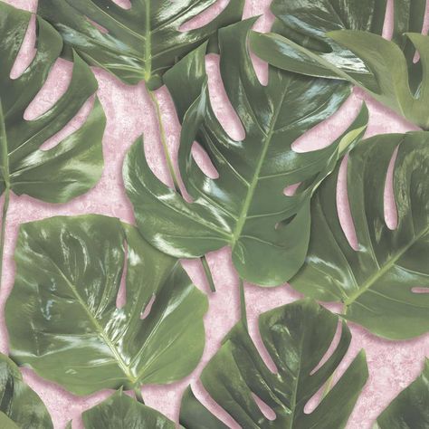 Monstera Green/Blush Monstera Wallpaper, Magnolia Wallpaper, Magnolia Paint, Blush Wallpaper, Monstera Leaves, Leaf Wallpaper, Print Wallpaper, Tropical Vibes, Monstera Leaf