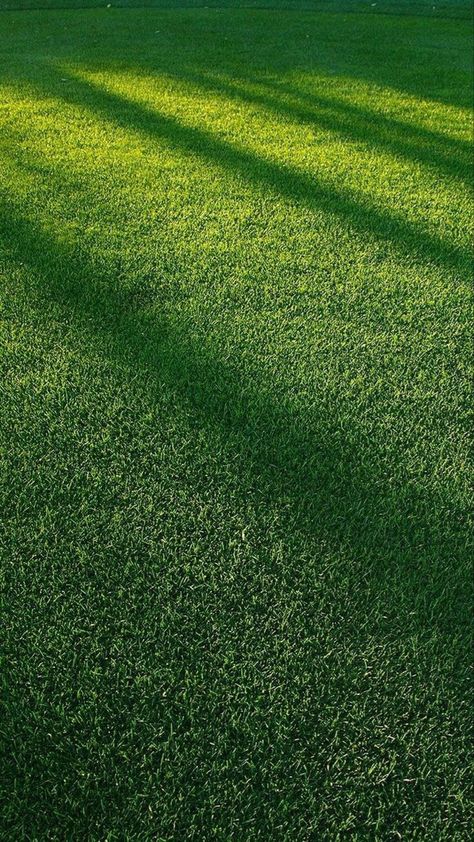 Grass Background, Grass Wallpaper, Minimal Wallpaper, Image Nature, Green Pattern, Desktop Wallpapers, Green Grass, Nature Aesthetic, Screen Wallpaper