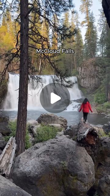 Visit California | Travel + Fun Things to Do on Instagram: "We can’t believe more people don’t know about these amazing spots in Shasta and Siskiyou counties! Make Northern California your ultimate outdoor playground with these must-see places:

💧 Check out the McCloud River area, where you can visit three waterfalls—Lower, Middle, and Upper McCloud Falls. Hike the 4-mile trail that connects them or drive to each one. 
🍔 Choose from a variety of unique burgers at @theyaksshack, the sister restaurant to the iconic @yaksonthe5.
⚓️ Take a tour of Lake Shasta Caverns, just 45 minutes from Mt. Shasta.
🍴 Enjoy dinner with a view at Highland House Restaurant, a cozy eatery on a golf course with a spectacular vantage point of Mt. Shasta.
🌅 Watch the sunset with picture-perfect vistas of Lake S Lake Shasta Caverns, Lake Shasta, Dinner With A View, Unique Burgers, Mt Shasta, Watch The Sunset, Vantage Point, Highland Homes, Visit California