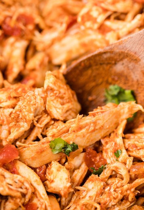 Crockpot Salsa Chicken is an easy slow cooker recipe that needs no chopping and only 4 main ingredients! Perfectly tender chicken. Crockpot Salsa Chicken, Crockpot Salsa, The Best Chicken Recipes, Salsa Chicken Crockpot, Baked Chicken Recipes Oven, Slow Cooker Salsa Chicken, Chicken Recipes Boneless, Salsa Chicken, Slow Cooker Recipe