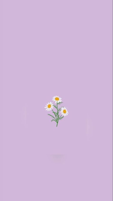 Daisy Background, Pink Blossom Tree, Baby Blue Wallpaper, Pretty Henna Designs, Color Wallpaper Iphone, Daisy Wallpaper, 1080p Anime Wallpaper, Wallpaper Doodle, Simple Phone Wallpapers