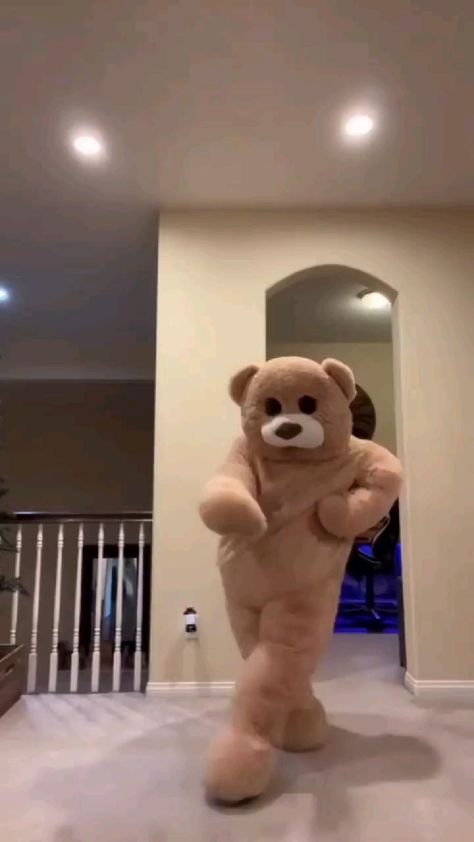 Teddy Day Video, Funny Teddy Bear, Teddy Boy Style, Astrology Scorpio, Funny Dancing Gif, Cartoons Dancing, Teddy Day, Day Video, World Dance