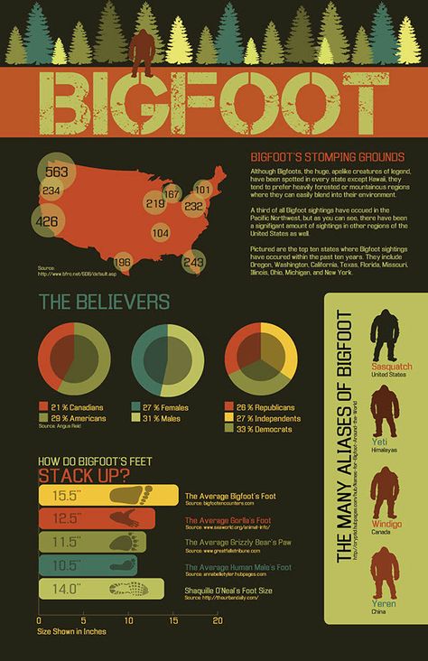 Bigfoot Party, Paranormal Aesthetic, Bigfoot Pictures, Passive Programs, Bigfoot Art, Monster Hunt, Finding Bigfoot, Bigfoot Sightings, Pie Charts