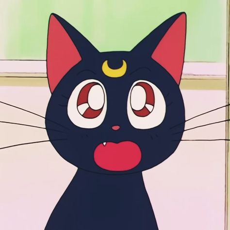 Luna Pfp Sailor Moon, Luna Sailor Moon Drawing, Sims Funny, Cartoon Rat, Saylor Moon, Sailor Moon Cat, Body Type Drawing, Cat Expressions, Luna And Artemis