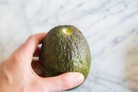 Post Image How Do You Know When An Avacado Is Ready, Mexican Avocado, Avocado Recipes Easy, How To Ripen Avocados, Freeze Avocado, Avocado Chocolate Pudding, Avocado Plant, Grow Avocado, Baked Avocado