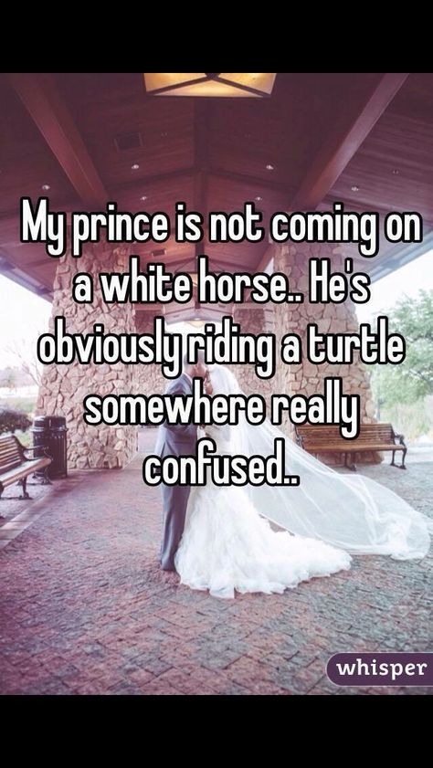 My prince Single Life Humor, Single Memes, My Prince, Beth Moore, Quotes For Instagram, Whisper App, Funny Quotes For Instagram, Lonely Heart, A Turtle