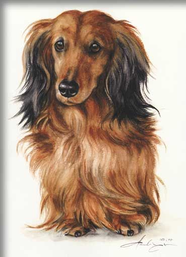 Paint Ideas 2023, Drawing Dachshund, Dachshund Artwork, Dachshund Drawing, Dachshund Painting, Venice Trip, Dog Sketches, Dachshund Illustration, Dachshund Breed