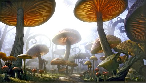 brown mushroom digital wallpaper #mushroom fantasy art #plants digital art #nature #render #4K #wallpaper #hdwallpaper #desktop Quotes Alice In Wonderland, Alice In Wonderland Mushroom, Dylan And Cole, Mushroom Wallpaper, Mia Wasikowska, John Tenniel, Tim Burton Films, Arthur Rackham, Walt Disney Pictures