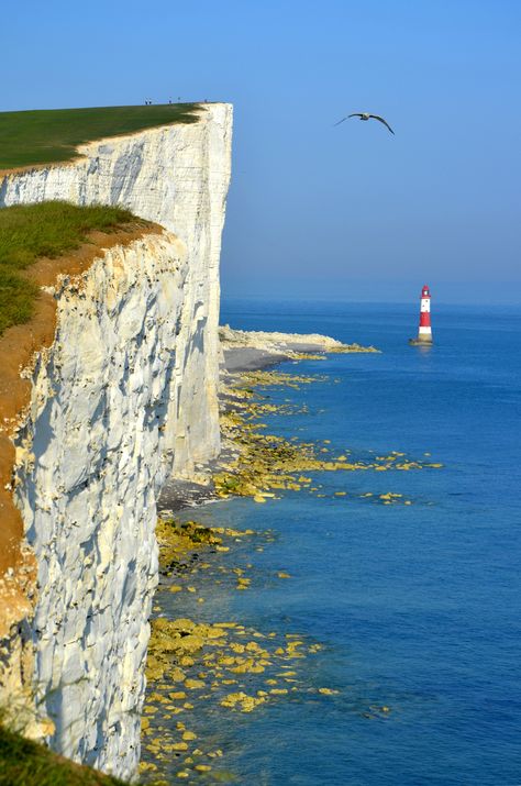 Beachy Head | by Etienne Polet Keep Smile, Beachy Head, Sussex England, Beautiful Lighthouse, England And Scotland, East Sussex, English Countryside, England Travel, Love Affair