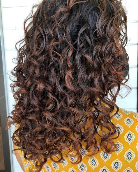 @salonskanda shared a photo on Instagram: “Fall inspired curls for the season change🍁🍂 Can you believe it’s really here y’all?! That means it’s time for all the warm tones and hot…” • Sep 24, 2020 at 5:35pm UTC Sunkissed Balayage Brunettes, Sun Kissed Brown Hair, Brown Hair Curly, Sunkissed Balayage, Partial Highlights, Season Change, Colored Curly Hair, Balayage Brunette, Hair Curly