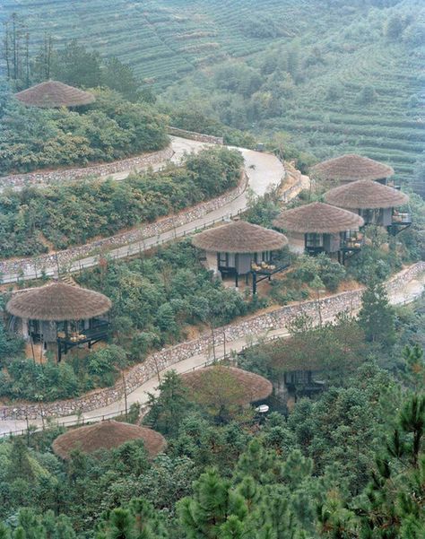 Eco Resorts in Moganshan, China - Condé Nast Traveler Eco Resort Architecture, Mountain Resort Design, Mountain Resort Architecture, Bungalow Resorts, Resort Design Plan, Eco Tourism, Bamboo House Design, Eco Materials, Glamping Resorts