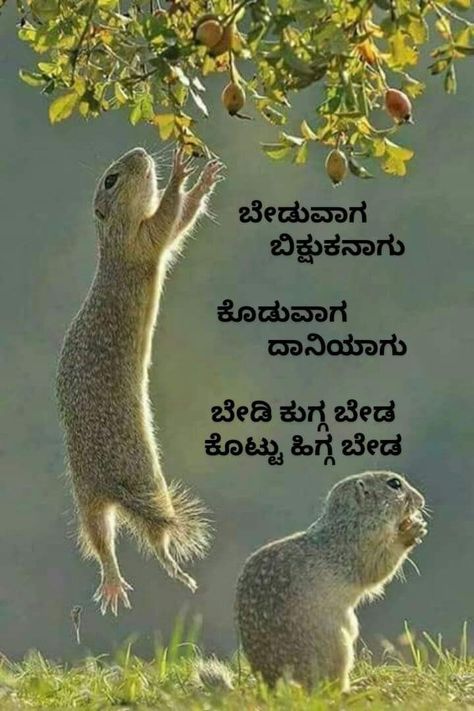 Kannada Thoughts For Life, Good Morning Kannada, Thoughts For Life, Kannada Thoughts, Happy Good Morning, Evening Wishes, Good Evening Wishes, Kannada Quotes, Happy Birthday Wishes Images