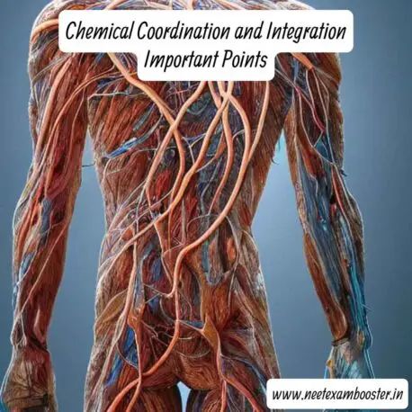 Chemical Coordination And Integration, Neet Books, Chemistry Book Pdf, Books Pdf Free Download, Physics And Chemistry, Neet Exam, Books Pdf, Endocrine System, Biology