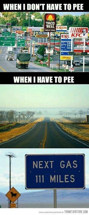 Road Trip Humor, Funny Kid Fails, I Have To Pee, To Pee, Funny Pictures For Kids, Funny Text Fails, Funny Good Morning Quotes, Memes Sarcastic, Funny Relationship