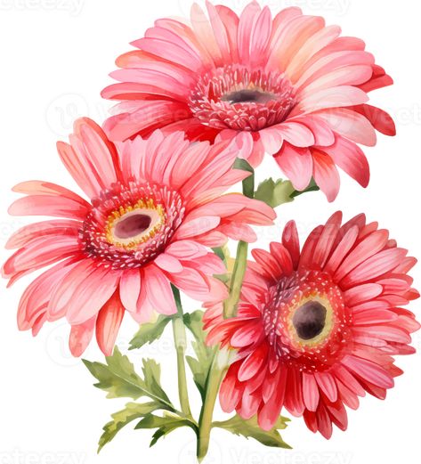 Gerbera Painting, Daisy Drawing, Contemporary Botanical Art, Gerbera Flower, Pink Gerbera, Wildflower Paintings, Gerber Daisy, Gerbera Daisies, Daisy Painting