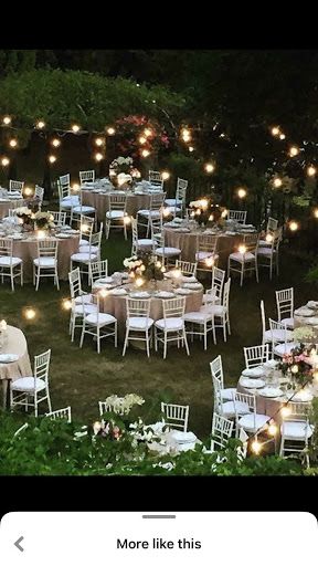 Reception Lights, Weddings Decorations Elegant Romantic, Vintage Wedding Ideas, Wedding Backyard Reception, Indoor Reception, Unique Wedding Flowers, Outdoor Wedding Reception, Vintage Wedding Decorations, Flower Centerpieces Wedding