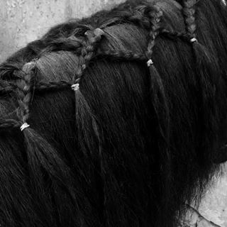 Horse Mane Braids, Horse Hair Braiding, Horse Braiding, Tail Braids, Horse Clipping, Horse Mane, Horse Costumes, Horse Inspiration, Horse Tail