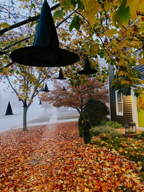 Spooky Halloween Decor. Floating witches hats from maple trees Floating Witches Hats, Spooky Halloween Decor, Hanging Witch, Witches Hats, Season Decor, Maple Trees, Witch Hats, Spooky Halloween Decorations, Hanging Candles