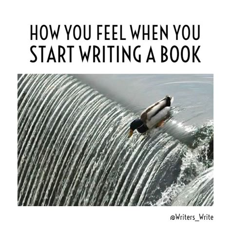 Start Writing A Book, Writer Problems, Writers Life, Writing Problems, Writer Memes, Writer Humor, Being A Writer, Writing Humor, I'm A Writer