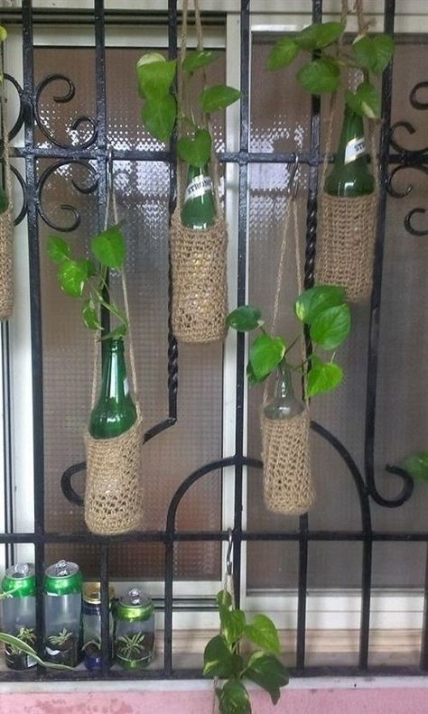 The image features a group of glass bottles containing green leaves. The bottles are likely arranged as a decorative indoor display with houseplants. Wine Bottle Planter, Beer Bottle Crafts, Tanaman Air, Small Balcony Garden, نباتات منزلية, Diy Plant Hanger, Bottle Garden, Herb Planters, Plant Decor Indoor