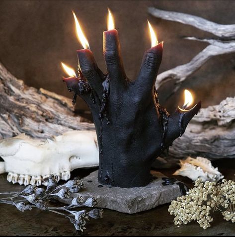 Clenched Hand, Hand Of Glory, Goth Candles, Severed Hand, Outstretched Hand, European Folklore, Supernatural Powers, W.i.t.c.h Aesthetic, Medieval Gothic