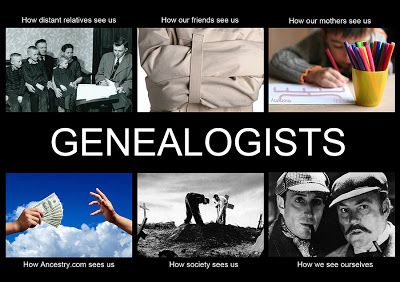 Genealogy Jokes, Family Tree Quotes, Genealogy Quotes, Family History Quotes, Genealogy Humor, Lawyer Jokes, Tree Quotes, Family Research, Ancestry Genealogy