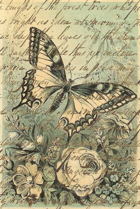 Stary Papier, Kertas Vintage, Grafika Vintage, Vintage Butterflies, Vintage Foto's, Papel Vintage, Seni Vintage, Decoupage Vintage, Images Vintage