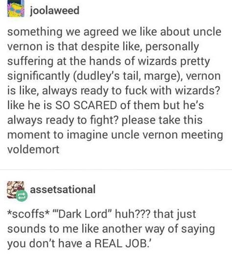 Harry Potter Puns, Harry Potter Always, Theme Harry Potter, Funny Harry Potter, Yer A Wizard Harry, Until The Very End, Harry Potter Headcannons, Harry Potter Universe, Harry Potter Jokes